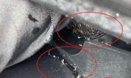 蚂蚁爆料视频,一窥科技巨头背后的真实世界